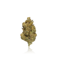 Budget Flower