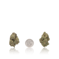 Bulk Premium