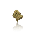 Premium Indoor Flower