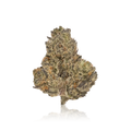 Exotic Flower