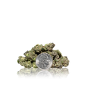 Exotic Smalls