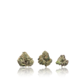 Exotic Smalls
